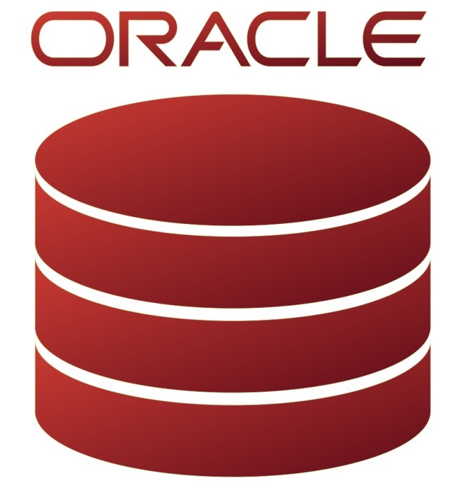 Oracle Database Logo